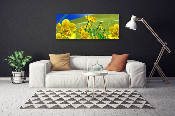 Obraz na plátne Lúka kvety dúha príroda 125x50 cm