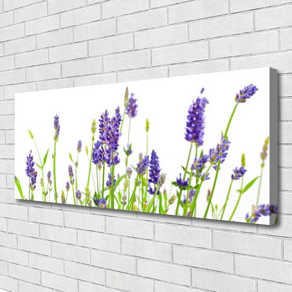 Obraz na plátne Kvety 125x50 cm