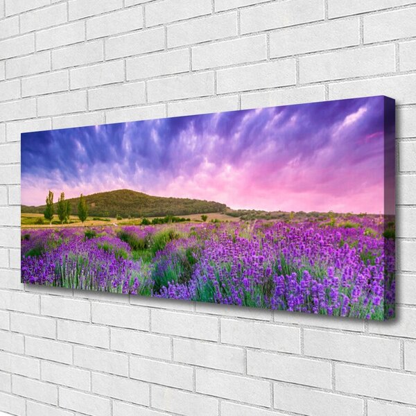 Obraz na plátne Lúka kvety hory príroda 125x50 cm