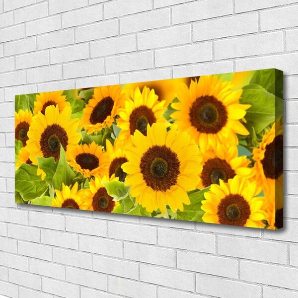 Obraz na plátne Slnečnica 125x50 cm