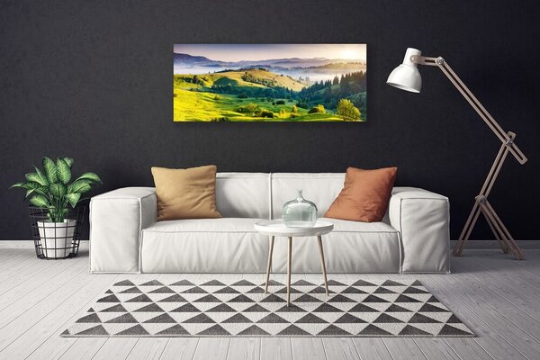 Obraz na plátne Hora pole hmla príroda 125x50 cm