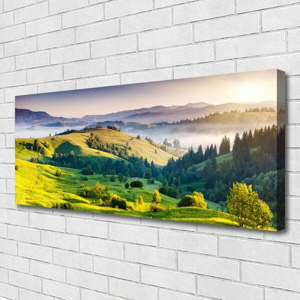Obraz na plátne Hora pole hmla príroda 125x50 cm
