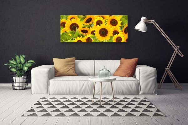 Obraz na plátne Slnečnica 125x50 cm