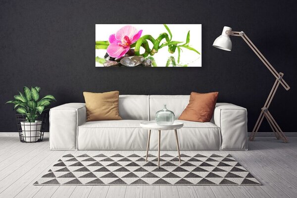 Obraz na plátne Kvet rastlina príroda 125x50 cm