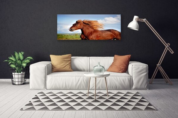 Obraz na plátne Kôň zvieratá 125x50 cm