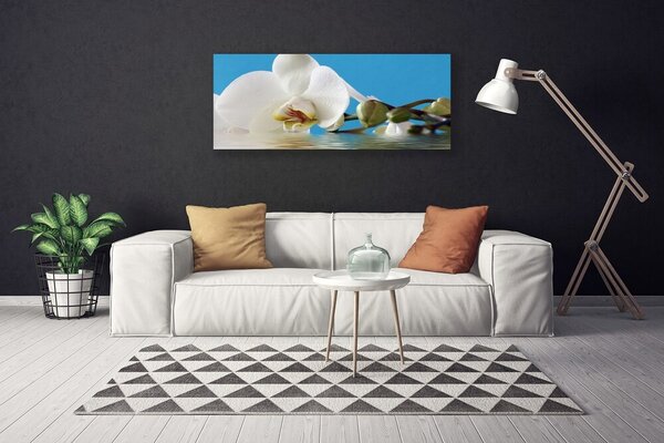 Obraz na plátne Kvet rastlina príroda 125x50 cm