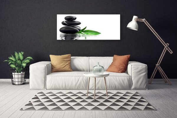 Obraz na plátne Kamene listy voda umenie 125x50 cm
