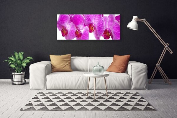 Obraz na plátne Kvety rastlina príroda 125x50 cm