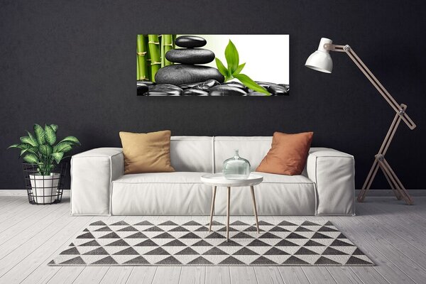 Obraz na plátne Kamene listy umenie 125x50 cm
