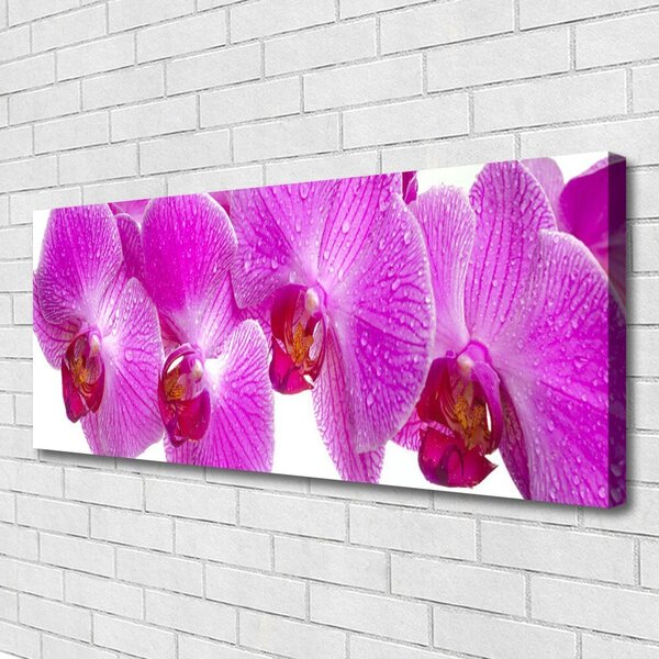 Obraz na plátne Kvety rastlina príroda 125x50 cm