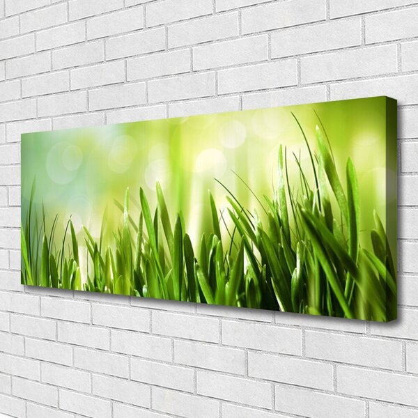 Obraz na plátne Tráva príroda 125x50 cm
