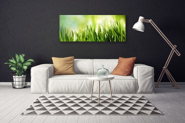 Obraz na plátne Tráva príroda 125x50 cm