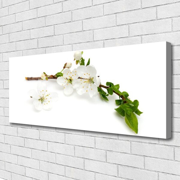 Obraz na plátne Kvet vetva príroda 125x50 cm