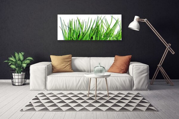 Obraz na plátne Tráva 125x50 cm