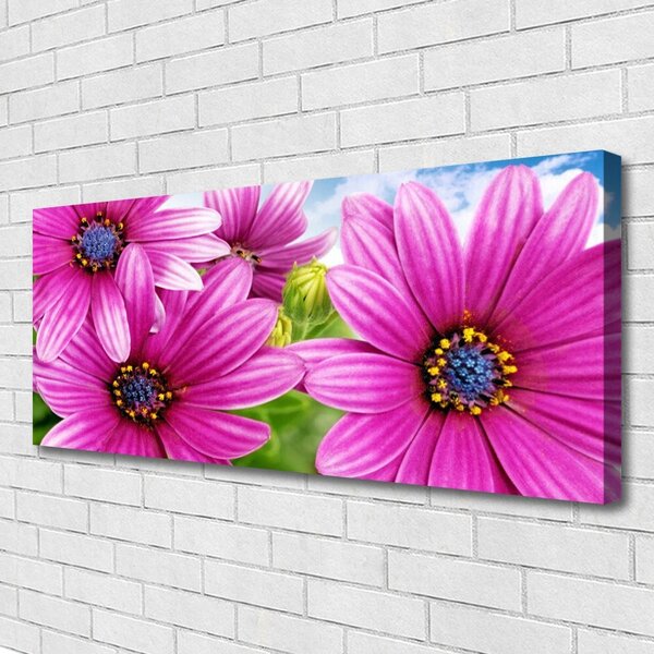 Obraz na plátne Kvety 125x50 cm