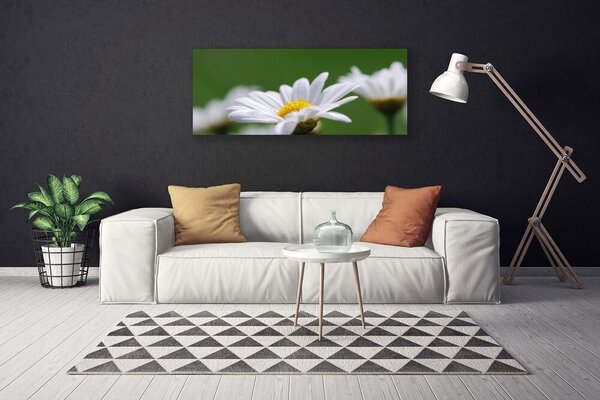 Obraz na plátne Sedmokráska 125x50 cm