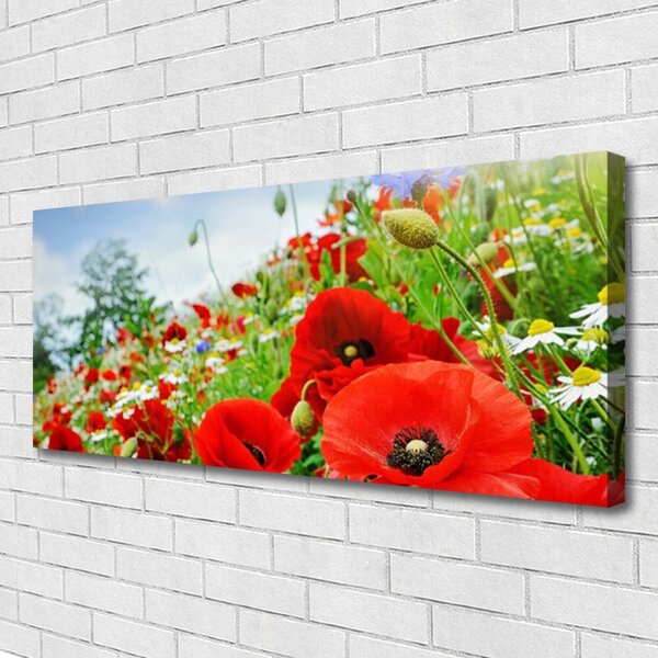 Obraz na plátne Kvety príroda 125x50 cm