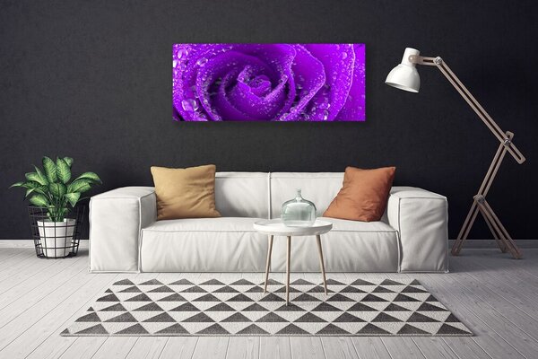 Obraz na plátne Ruže kvet 125x50 cm