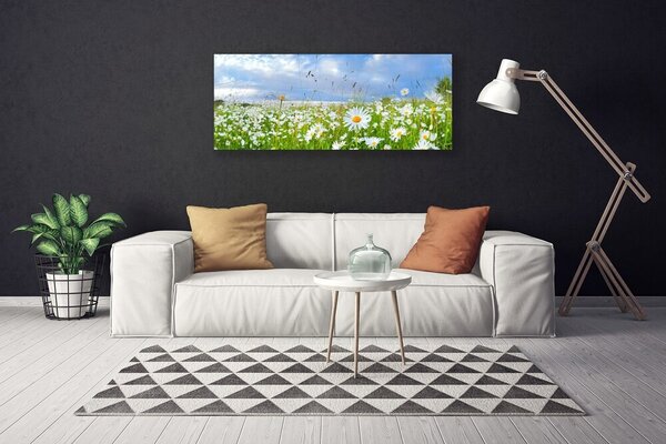 Obraz na plátne Lúka sedmokrásky príroda 125x50 cm