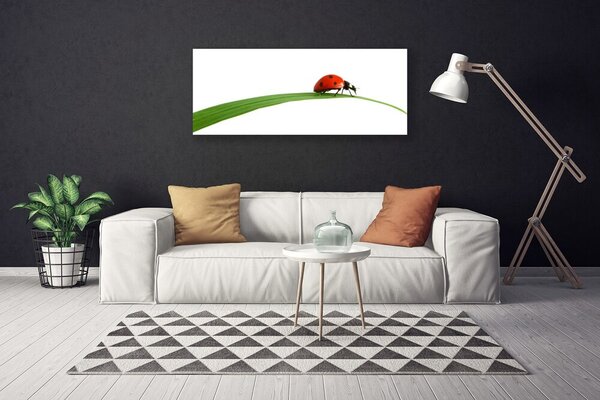 Obraz na plátne Lienka príroda 125x50 cm