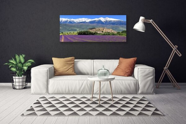 Obraz na plátne Lúka kvety hory príroda 125x50 cm