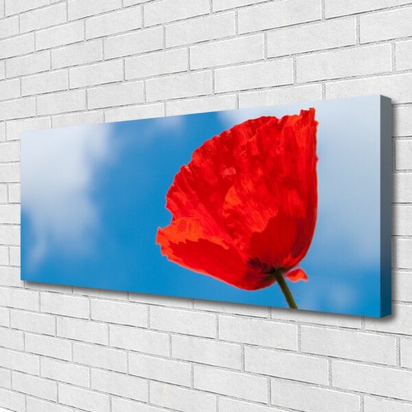 Obraz na plátne Tulipán 125x50 cm