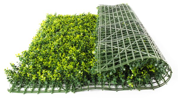 Umelý živý plot Hawaj Buxus High žltý stena 100 x 100 cm