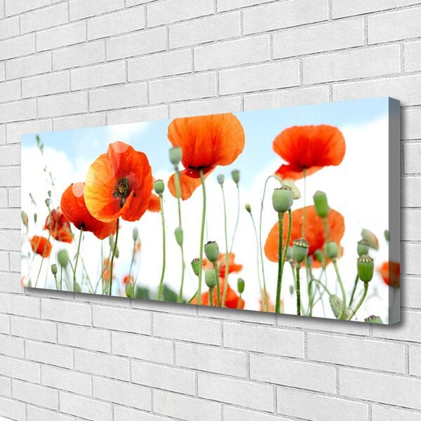 Obraz Canvas Kvety maky lúka pole príroda 125x50 cm