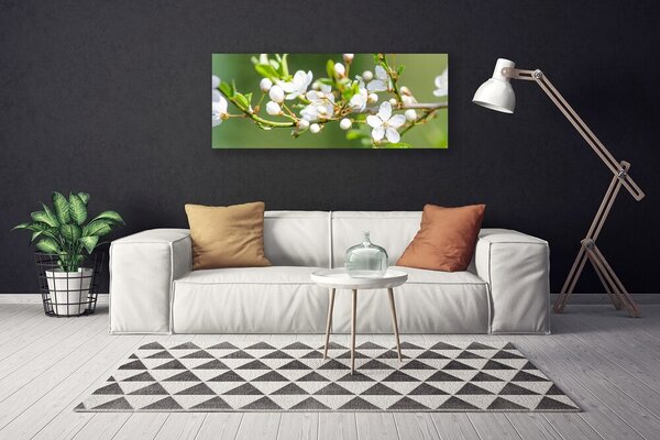 Obraz Canvas Kvety vetvy listy sad 125x50 cm