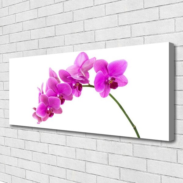 Obraz Canvas Vstavač kvet orchidea 125x50 cm