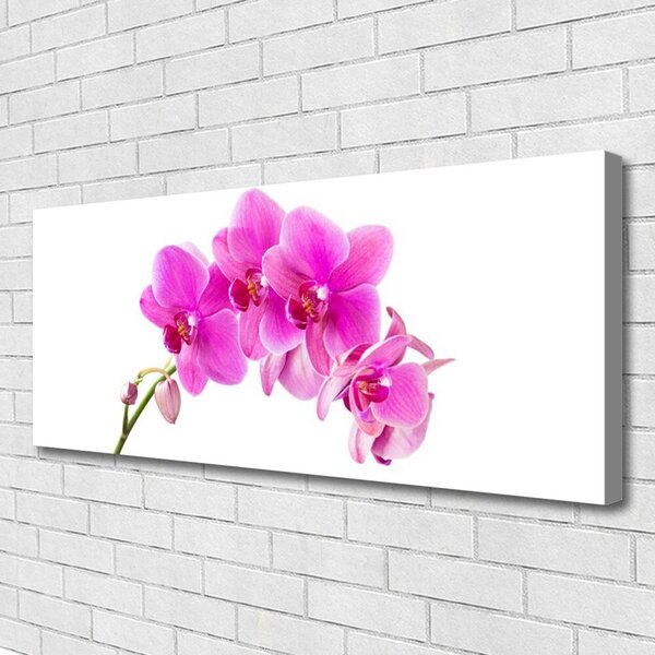 Obraz Canvas Vstavač kvet orchidea 125x50 cm