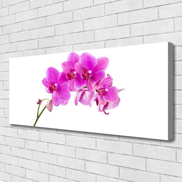 Obraz Canvas Vstavač kvet orchidea 125x50 cm