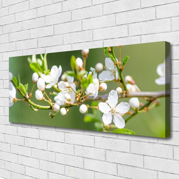Obraz Canvas Kvety vetvy listy sad 125x50 cm