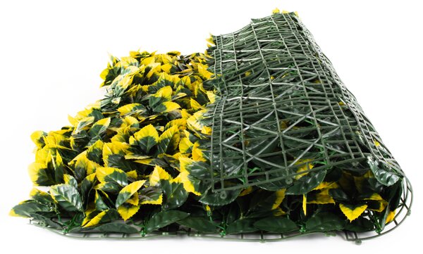 Umelý živý plot Hawaj Vavrínovec žltý stena 100 x 100 cm