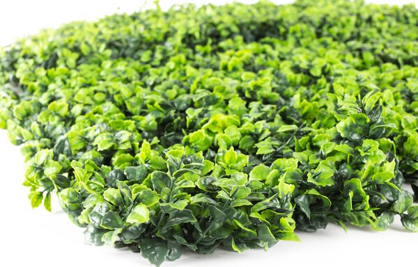 Umelý živý plot Hawaj Buxus High | stena 100 x 100 cm