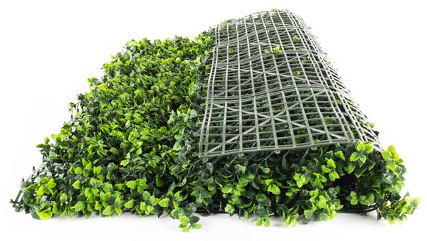 Umelý živý plot Hawaj Buxus High | stena 100 x 100 cm