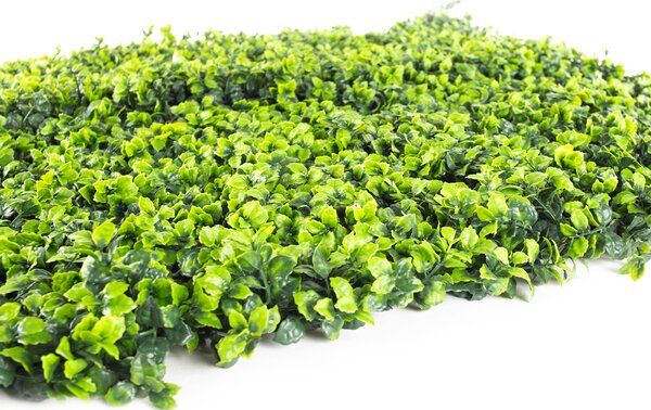Umelý živý plot Hawaj Buxus High | stena 100 x 100 cm