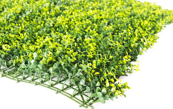 Umelý živý plot Hawaj Buxus High žltý stena 100 x 100 cm