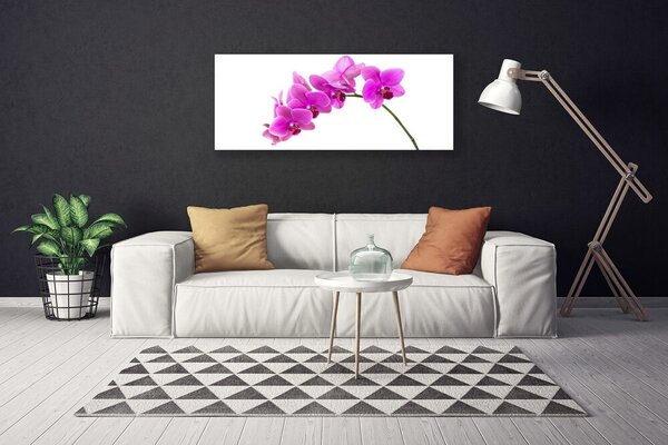 Obraz Canvas Vstavač kvet orchidea 125x50 cm