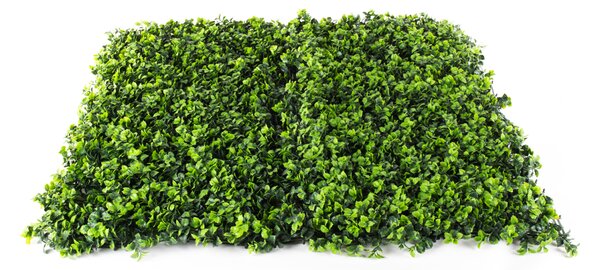 Umelý živý plot Hawaj Buxus High | stena 100 x 100 cm
