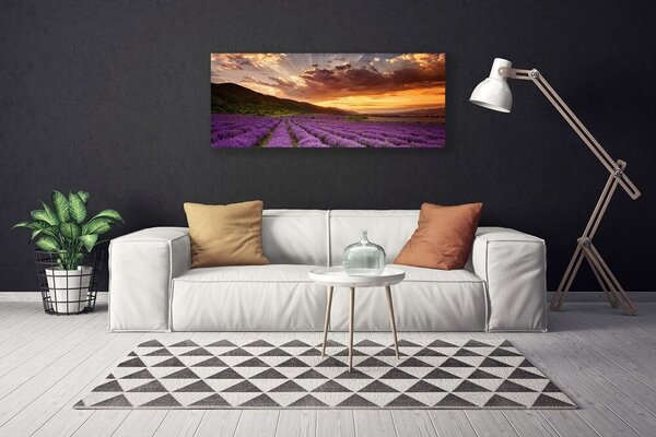 Obraz Canvas Pole levanduľa západ slnka 125x50 cm