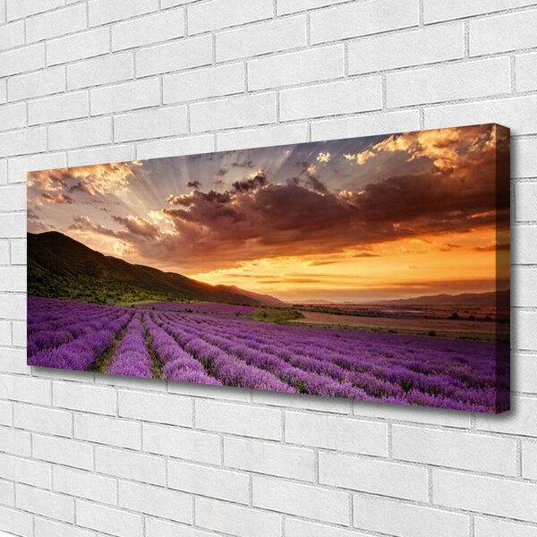 Obraz Canvas Pole levanduľa západ slnka 125x50 cm