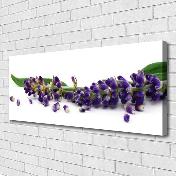 Obraz Canvas Levanduľa mŕtva príroda 125x50 cm