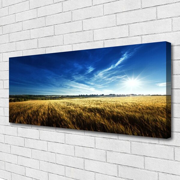 Obraz Canvas Pole obilie slnko krajina 125x50 cm