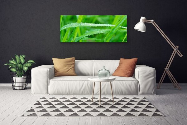 Obraz Canvas Listy kvapky rosy príroda 125x50 cm