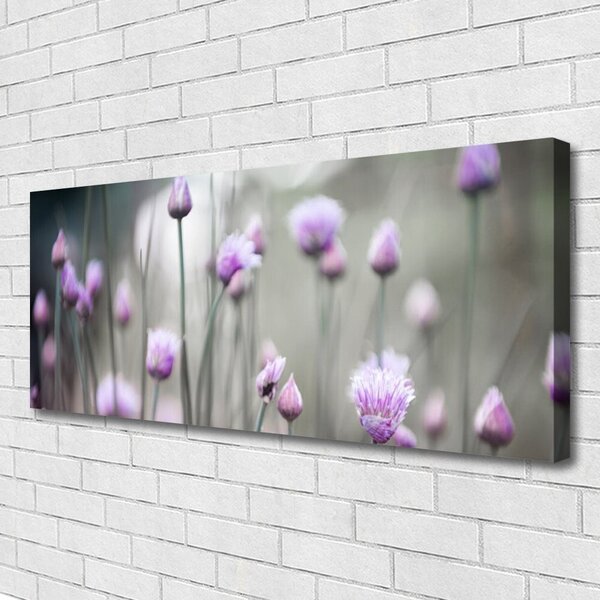 Obraz Canvas Poľné kvety lúka príroda 125x50 cm