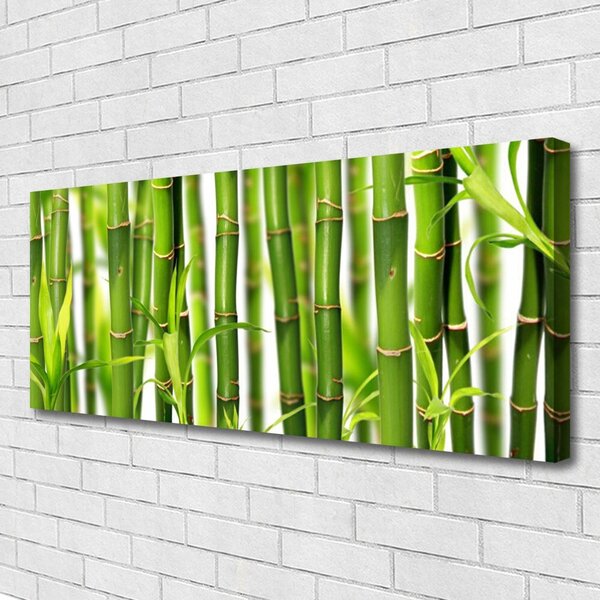 Obraz Canvas Bambusové výhonky listy bambus 125x50 cm