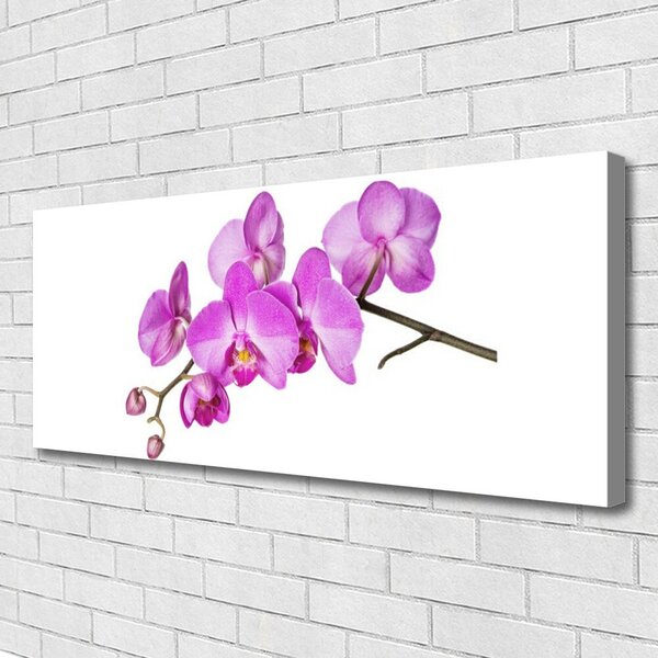 Obraz Canvas Vstavač orchidea kvety 125x50 cm