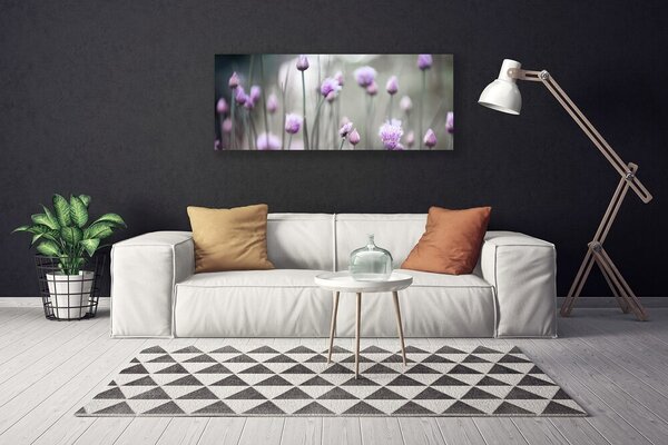 Obraz Canvas Poľné kvety lúka príroda 125x50 cm