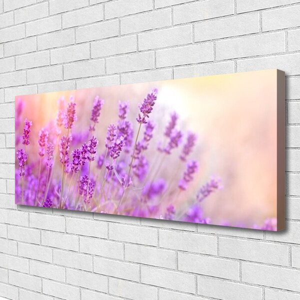 Obraz Canvas Levanduľovej pole slnko kvety 125x50 cm